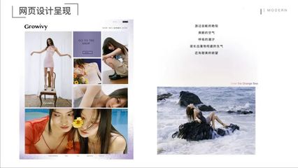 溫州大學(xué)美術(shù)與設(shè)計(jì)學(xué)院2018級(jí)視覺傳達(dá)設(shè)計(jì)專業(yè)《品牌設(shè)計(jì)